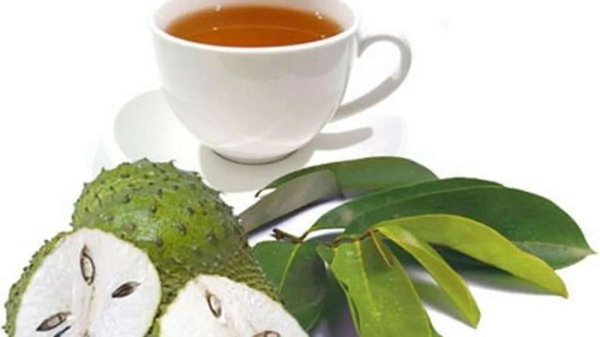 Teh daun sirsak bermanfaat mengobati diabetes melitus 