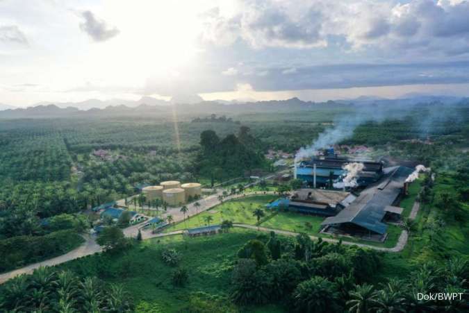 Tambah Pabrik di Kalimantan, Eagle High Plantations Siapkan Capex Rp 200 Miliar