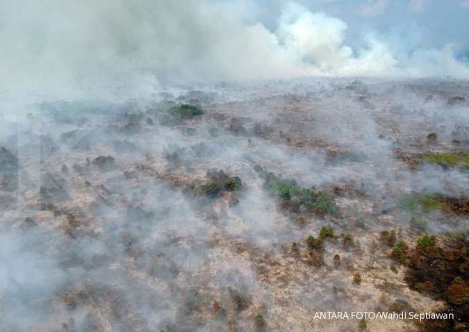 Presiden Jokowi telepon BNPB minta kebakaran hutan segera diselesaikan