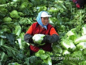 12 Perusahaan hortikultura harus lepas saham ke lokal