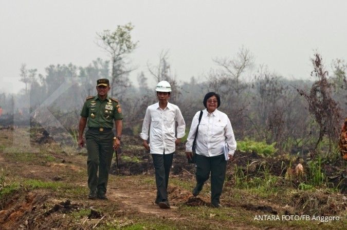 Jokowi: Kebakaran meluas di luar kondisi normal