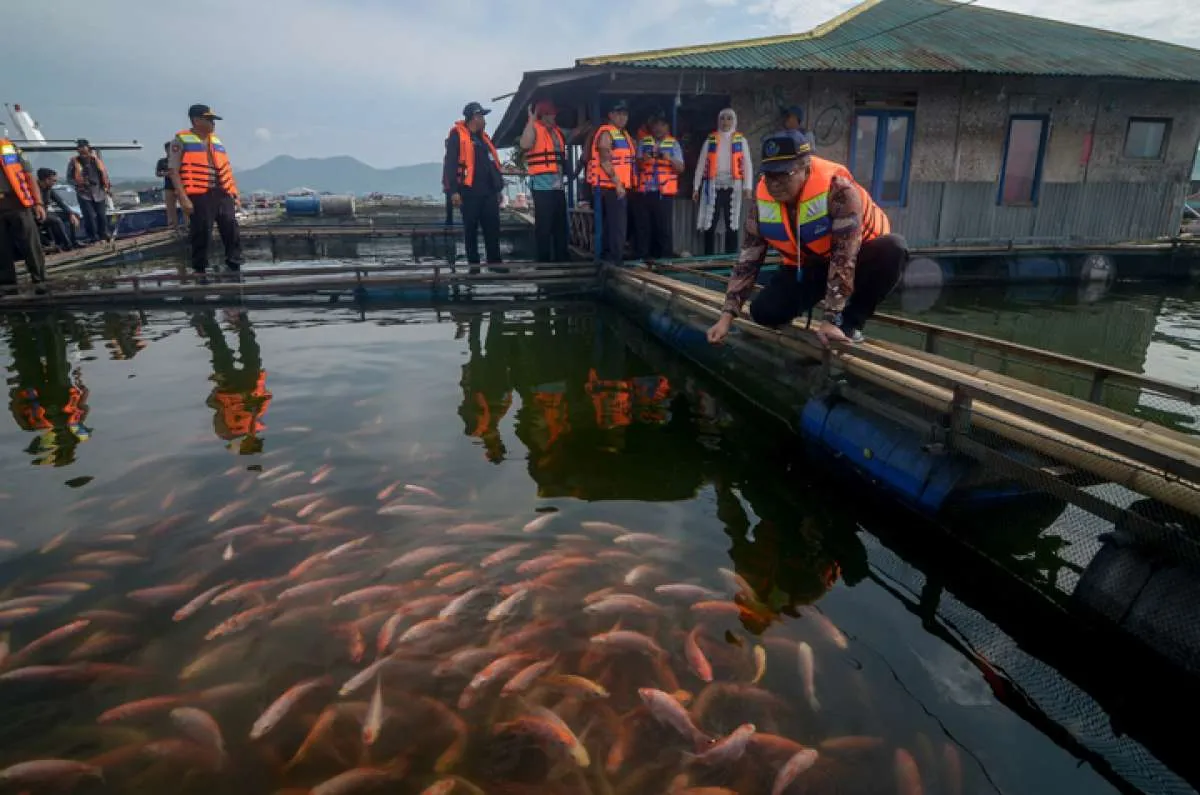 Menteri KKP ajak masyarakat lebaran ikan