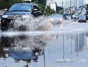 Banyak pohon tumbang, aturan 3 in 1 tak diberlakukan