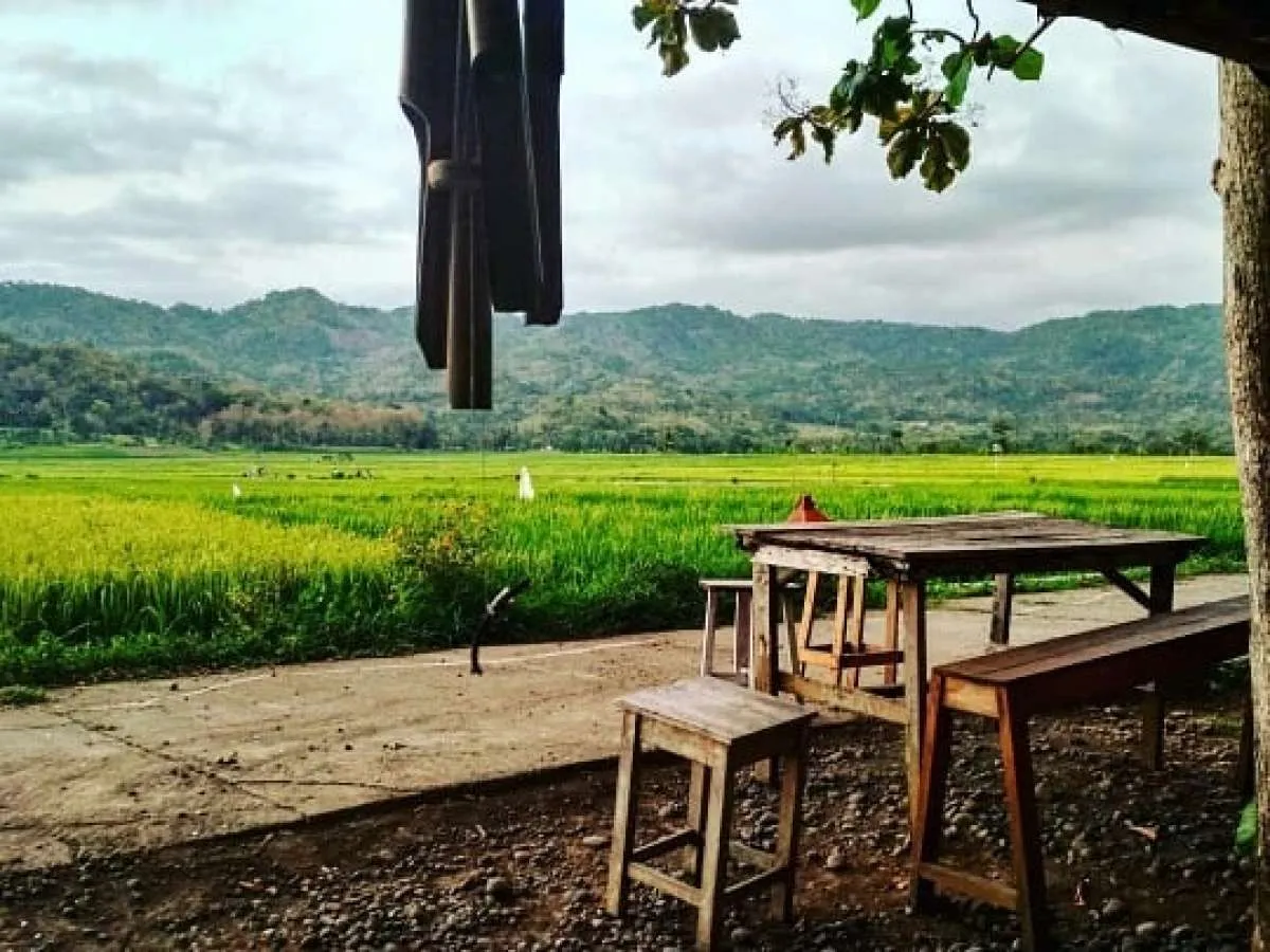 Geblek Pari, tempat makan sekaligus wisata berlatar sawah di Kulon Progo