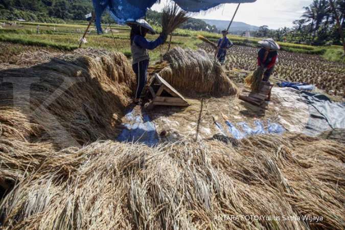 Bayer Indonesia luncurkan program pemberdayaan 4 juta petani