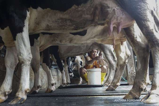 Kinerja Industri Susu Nasional Tertekan Daya Beli