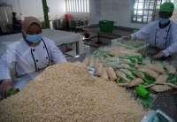 FKS Multi Agro (FISH) Dukung Tempe Jadi Warisan Budaya Tak Benda UNESCO