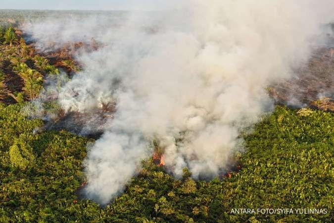 Larangan Pembukaan Lahan pada Musim Kemarau