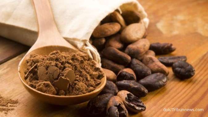 Harga Turun, ASKINDO Sebut Petani Kakao Lebih Pilih Ekspor