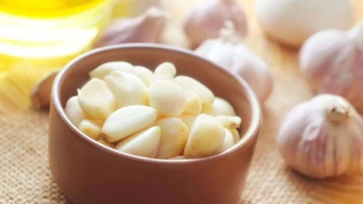 Cara Menanam Bawang Putih Efektif dan Cepat Tumbuh