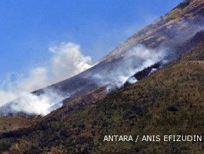 Hasil sertifikasi hutan lestari tak sepadan