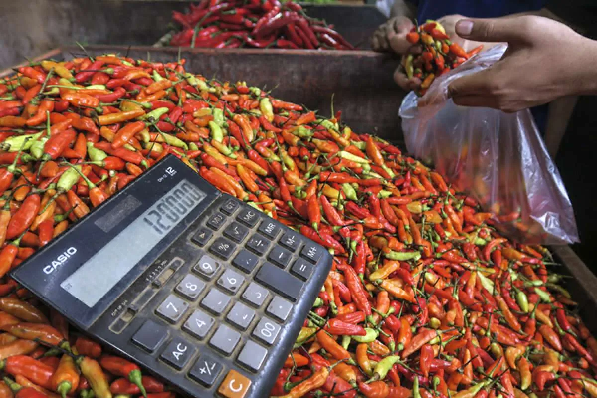 Harga Pangan di Maluku Selasa (3/12): Cabai Merah Keriting dan Daging Sapi Murni Naik