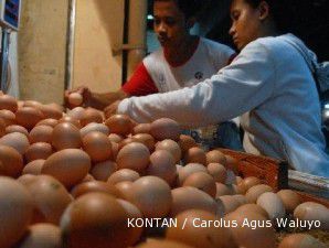 2011, produksi telur nasional diprediksi capai 1,5 juta ton