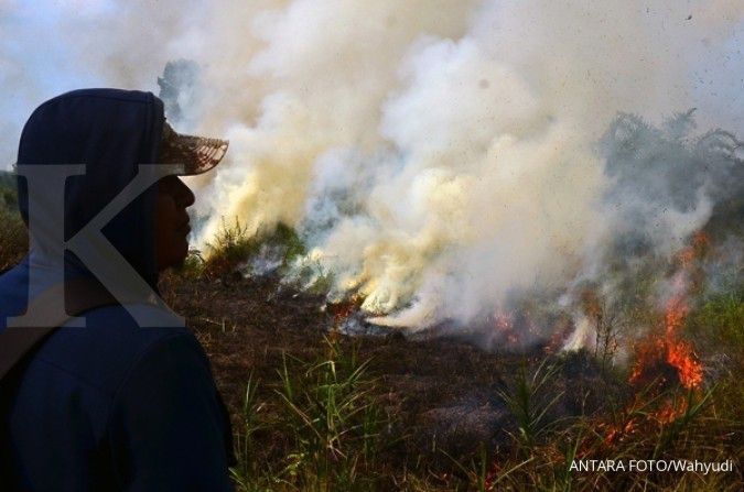 Kebakaran lahan di Riau mencapai 760 ha