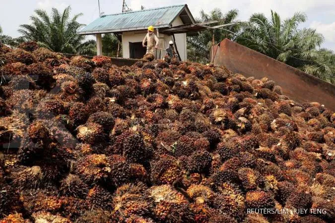 Malaysia Palm Oil Stocks Hit 4-Month Low on Output Slump