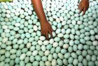 4 Manfaat Menakjubkan Telur Bebek untuk Kesehatan, Bisa Melawan Kanker