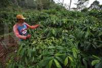 Cuaca Wilayah Jawa Barat: Hujan di Hari Sabtu (28/2)? Waspada 4 Daerah Ini!