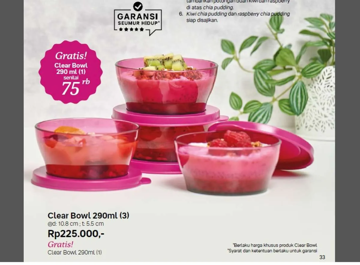 Inilah Perabotan Makan Minum Murah Di Katalog Promo Tupperware Agustus 2023