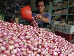 Harga bawang merah melorot ke Rp 16.000 per kg