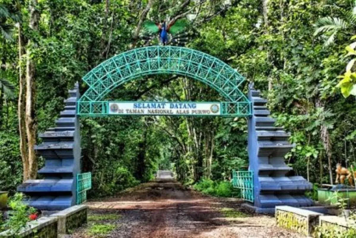 ​Ramai WNA lebih baik di Alas Purwo daripada Bali, ini penampakannya