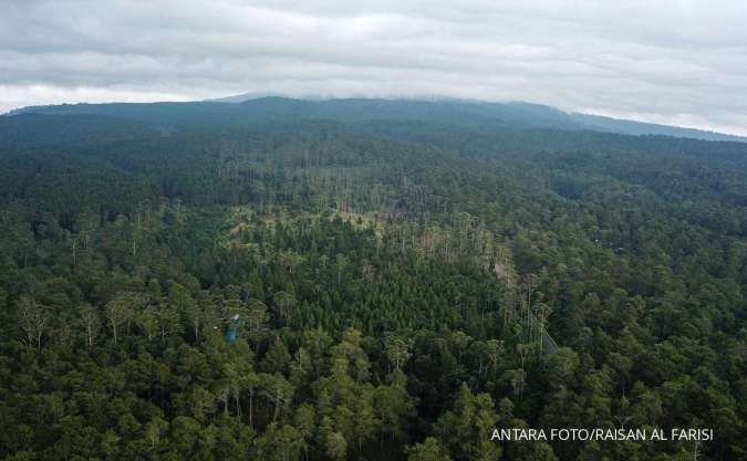 Dua Anak Usaha Korindo Group Raih Sertifikasi Sustainable Forest Management IFCC