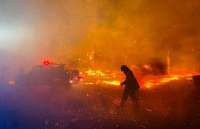 Kebakaran Hutan di Australia Menghanguskan Ribuan Rumah Warga 