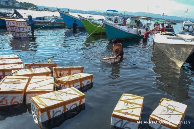 Begini Potensi Dampak Pemutihan Utang dari 6 Juta Petani dan Nelayan ke Perbankan