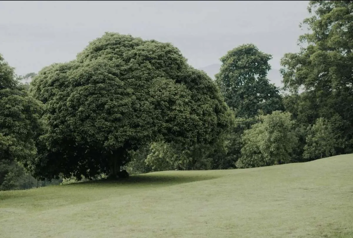 Rekomendasi Tempat Wisata Hidden Gem di Bandung yang Wajib Dikunjungi