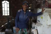 Seribu Satu Cara Petani Giling Padi di Kalidoni Sumatera Selatan Menyambung Hidup