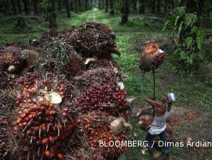 Indonesia dan Malaysia bentuk Dewan Minyak Sawit Eropa