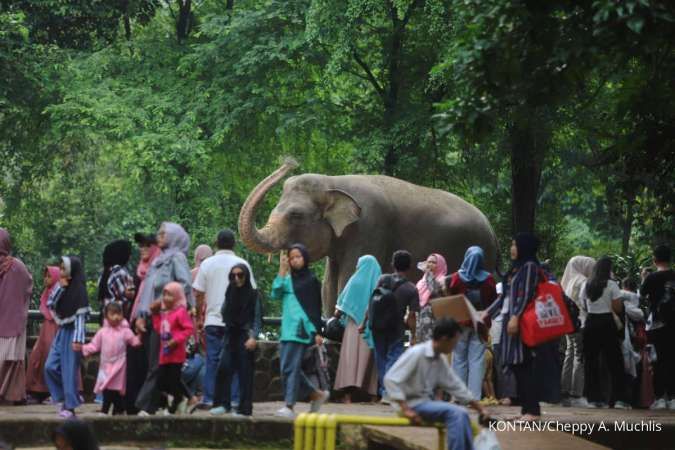 Harga Tiket Ragunan Akan Naik, Ini Penjelasan dari Gubernur DKI, Cek Tarif Saat Ini