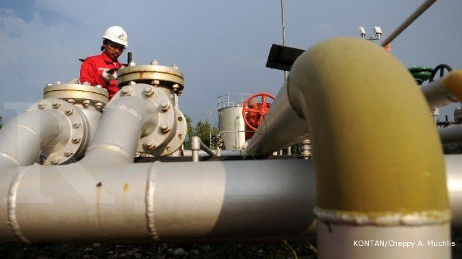 Pertagas pasok gas ke kawasan industri di Sumut