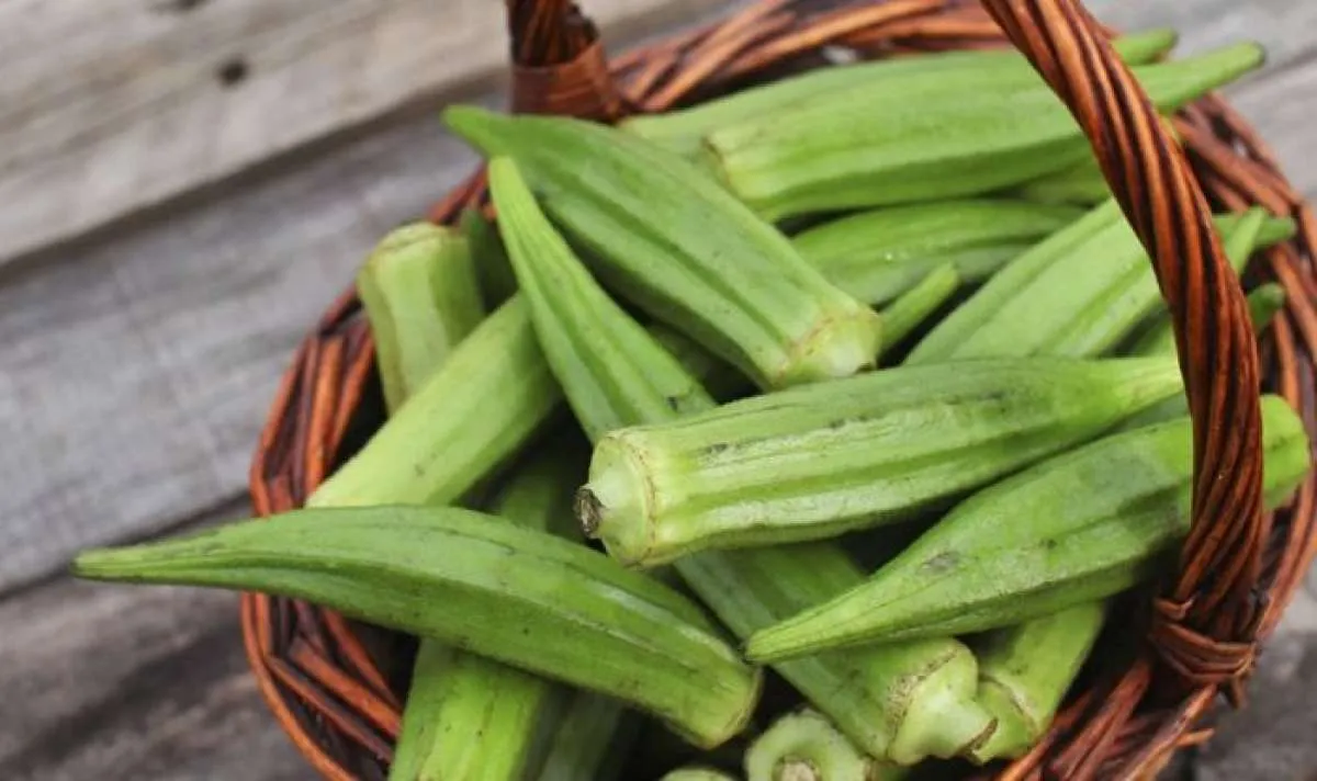 Ini 7 Manfaat Okra Bagi Kesehatan yang Tidak Terduga, Tahu?