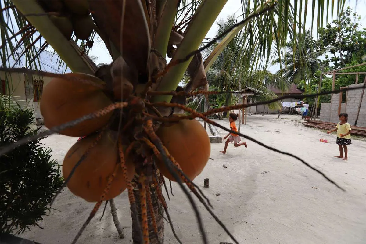 Manfaatkan Limbah Batok Kelapa, BRI Ajak Masyarakat di Bali Inovasi Produk