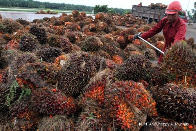 Produksi CPO Indonesia tahun ini akan naik 6,4%