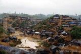 Indonesia siapkan psikolog untuk pengungsi Rohingya 