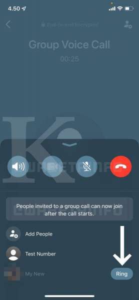 Tampilan UI baru WhatsApp ketika melakukan panggilan telepon di iOS mirip FaceTime