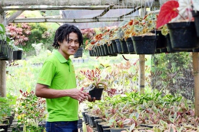 Memulai bisnis kebun bibit bermodal Rp 500.000 (2)