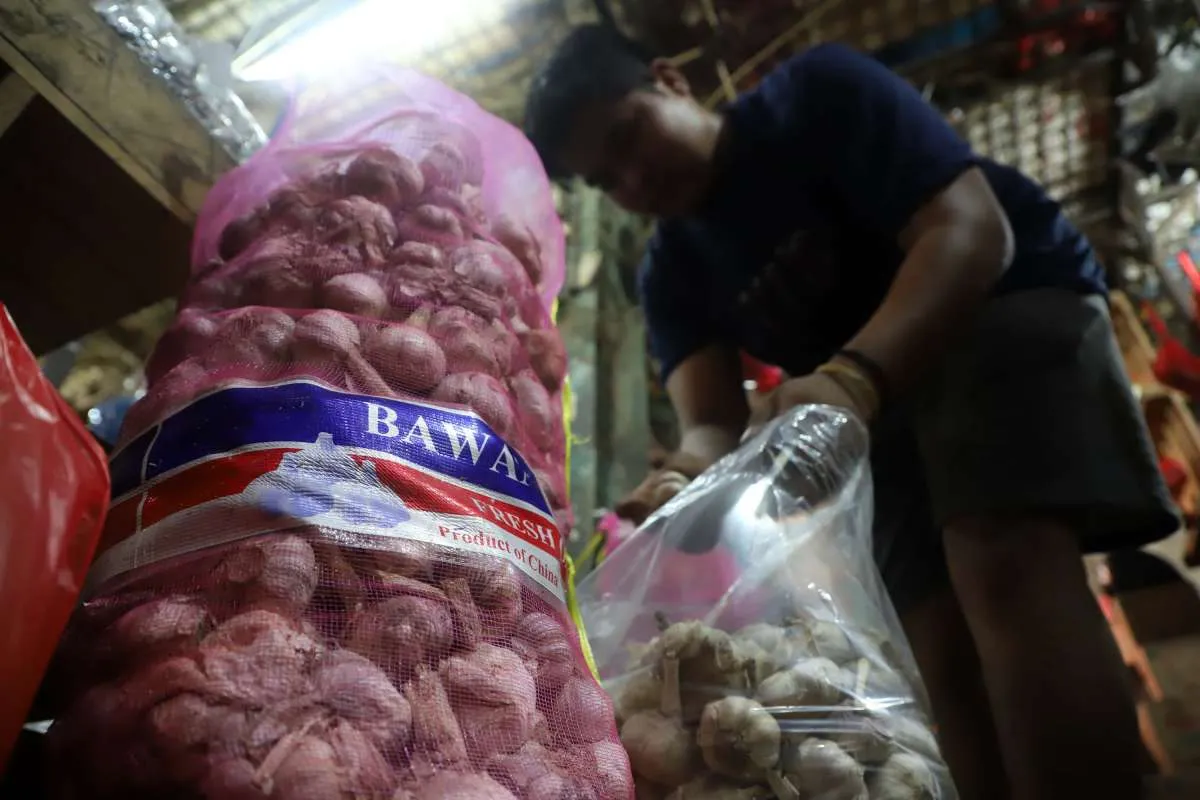 Harga Bawang Putih Bonggol Naik di Lampung, Senin (25/11)