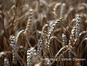 Menkeu siap respons keluhan dumping Turki 