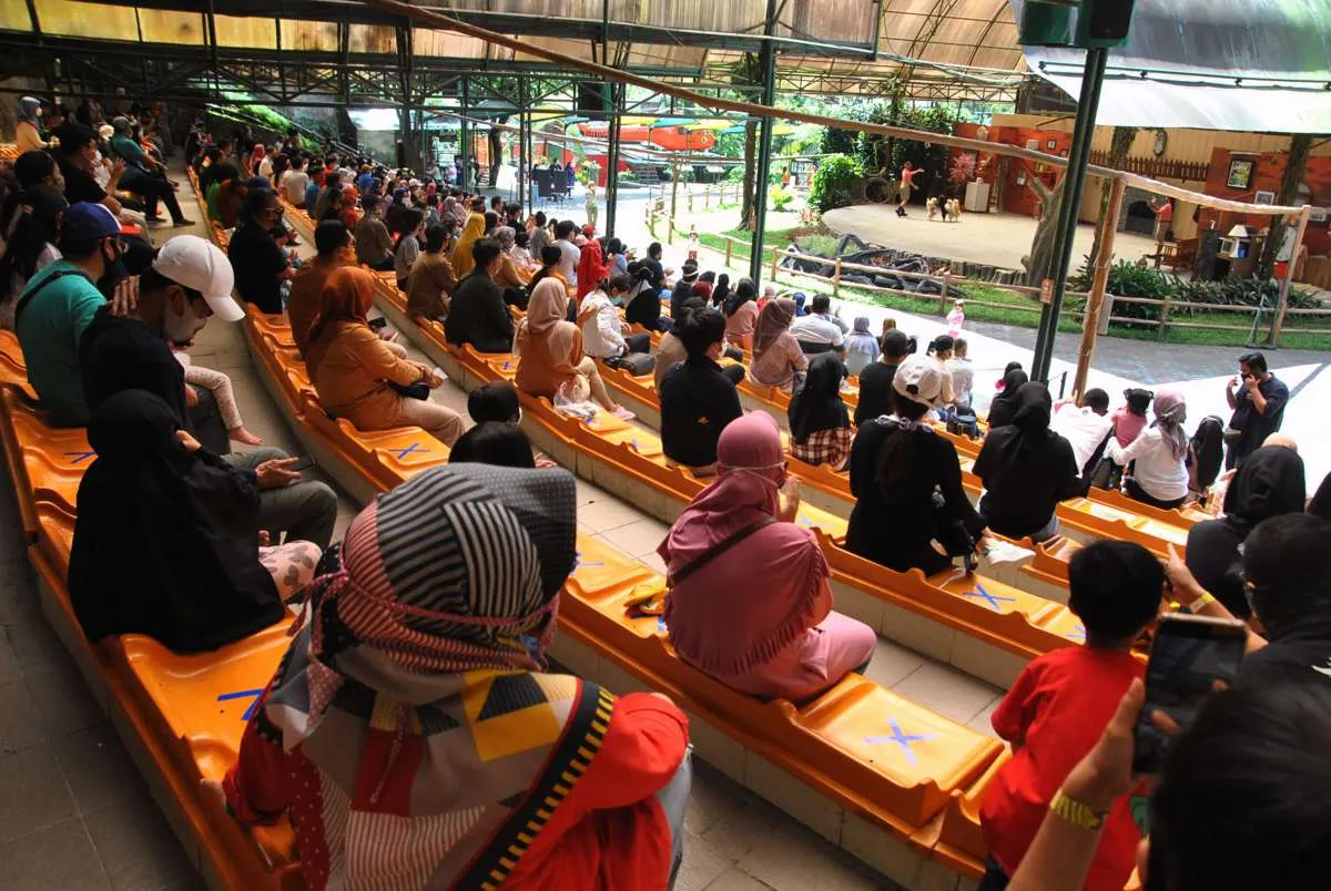 Sudah dibuka, ini dia harga tiket promo Taman Safari Bogor 