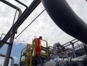 BP Migas bentuk tim renegosiasi ulang gas Tangguh dengan China