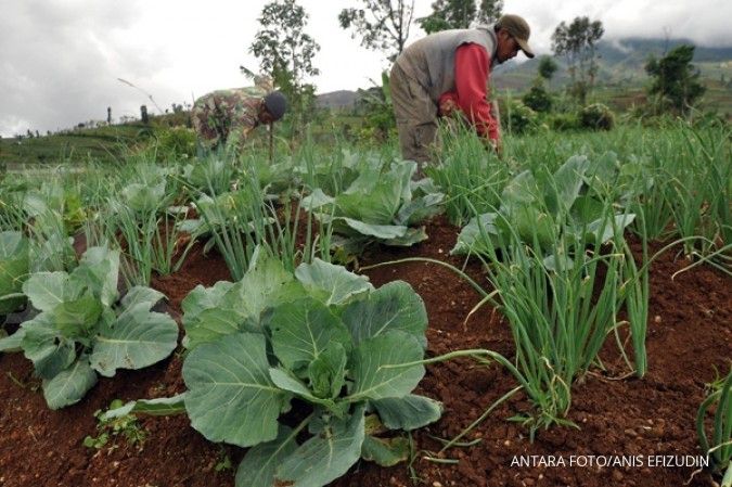 SPI: Asuransi pertanian bukan prioritas petani