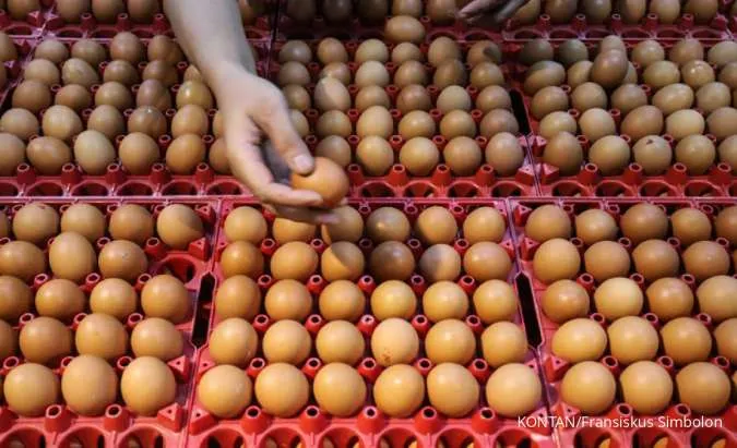Warga memilih telur ayam yang dijual di grosir