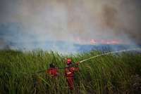 Wildfires Spread Into Residential Areas in Indonesia's Bangka Belitung