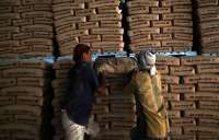 Semen Indonesia (SMGR) Tebar Dividen Rp 96,21 per saham, Catat Jadwalnya!