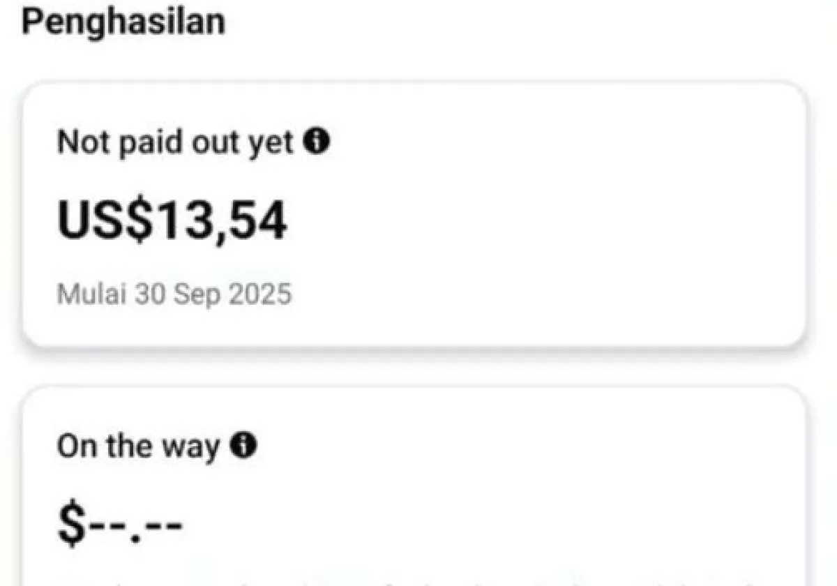Apa Arti Status Not Paid Out Yet di FB Pro? Kreator Konten Wajib Tahu