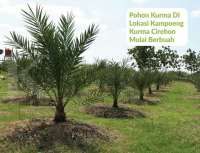 Dituduh melakukan investasi bodong, begini reaksi manajemen Kampoeng Kurma