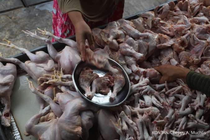 Harga Daging Ayam Naik, Daftar Lengkap Harga Pangan di Lampung 15 November 2024