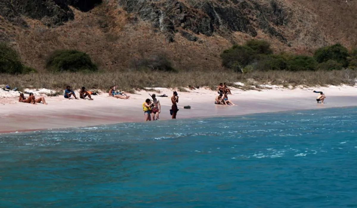 Pasir di pantai pink Pulau Komodo banyak dicuri wisatawan domestik